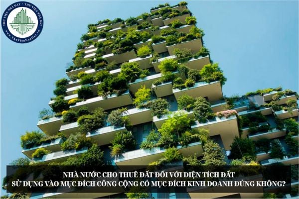 Nhà nước cho thuê đất đối với diện tích đất sử dụng vào mục đích công cộng có mục đích kinh doanh đúng không?