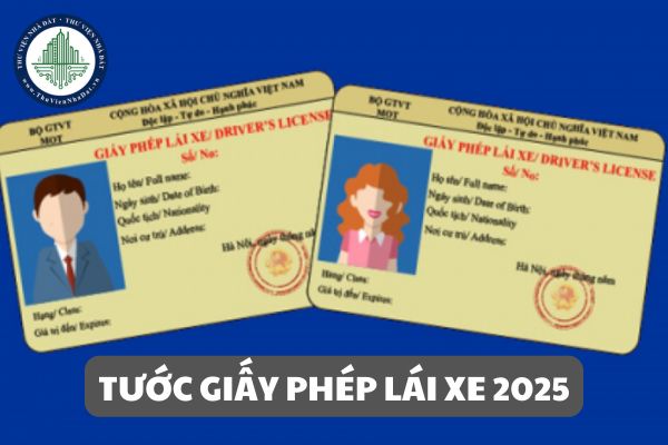 Tổng hợp các lỗi bị tước Giấy phép lái xe 2025 theo Nghị định 168