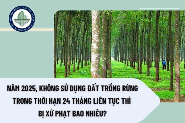 Năm 2025, không sử dụng đất trồng rừng trong thời hạn 24 tháng liên tục thì bị xử phạt bao nhiêu?