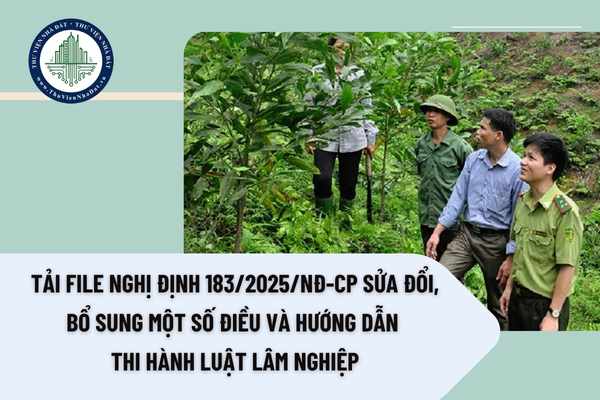 Tải file Nghị định 183/2025/NĐ-CP sửa đổi, bổ sung một số điều và hướng dẫn thi hành Luật Lâm nghiệp