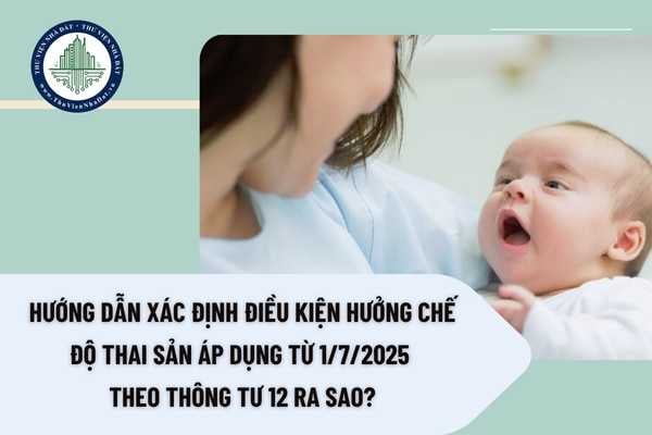 Hướng dẫn xác định điều kiện hưởng chế độ thai sản áp dụng từ 1/7/2025 theo Thông tư 12 ra sao?