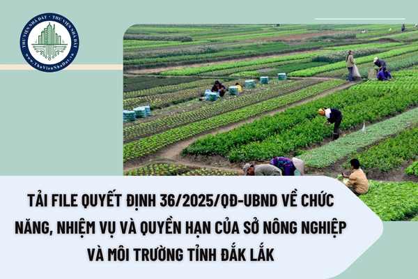 Tải file Quyết định 36/2025/QĐ-UBND về chức năng, nhiệm vụ và quyền hạn của Sở Nông nghiệp và Môi trường tỉnh Đắk Lắk