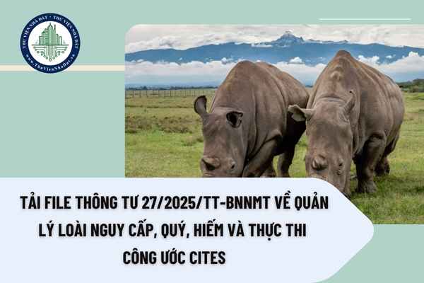 Tải file Thông tư 27/2025/TT-BNNMT về quản lý loài nguy cấp, quý, hiếm và thực thi Công ước CITES