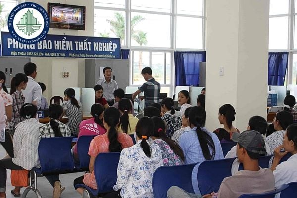 BHXH Quận 5 đổi thành gì sau sáp nhập? Địa chỉ BHXH cơ sở Chợ Lớn ở đâu?