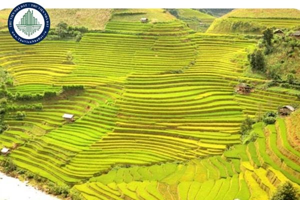 Điều chỉnh kế hoạch sử dụng đất năm 2025 của huyện Văn Chấn tỉnh Yên Bái
