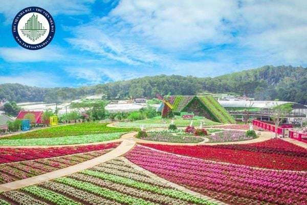 https://cdn.thuviennhadat.vn/upload/hinh-anh-bai-viet/PHQD/thang-10-2025/23/tai-file-du-thao-bang-gia-dat-2026-phuong-cam-ly-da-lat-tinh-lam-dong.jpg