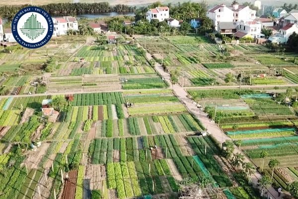https://cdn.thuviennhadat.vn/upload/hinh-anh-bai-viet/PHQD/thang10/08/tai-file-quyet-dinh-1345-qd-ubnd-sua-quyet-dinh-1041-qd-ubnd-don-gia-boi-thuong-thiet-hai-cay-trong.jpg