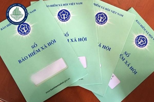BHXH thành phố Cẩm Phả đổi thành gì từ 01/7/2025? Địa chỉ mới BHXH thành phố Cẩm Phả sau sáp nhập