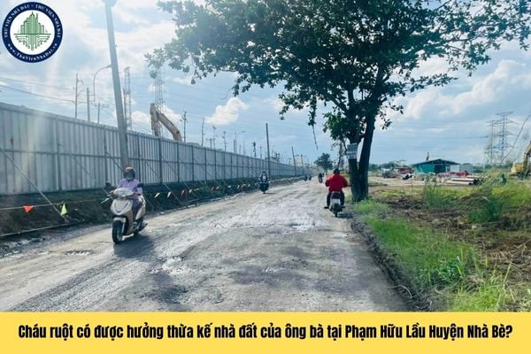 Cháu ruột có được hưởng di sản thừa kế nhà đất trên đường Phạm Hữu Lầu Huyện Nhà Bè khi ông bà qua đời hay không?