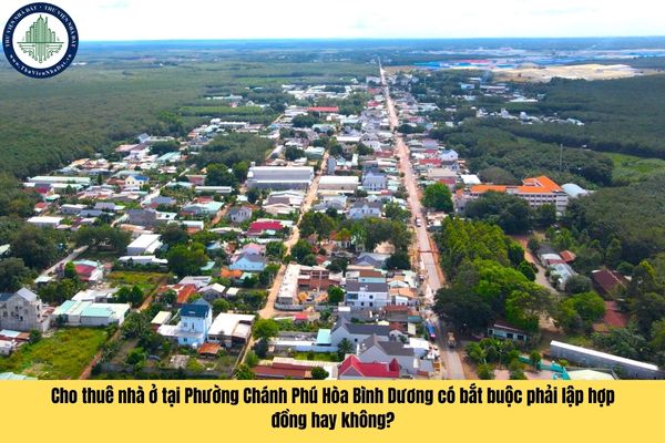 Cho thuê nhà ở tại Phường Chánh Phú Hòa Bình Dương có bắt buộc phải lập hợp đồng hay không?