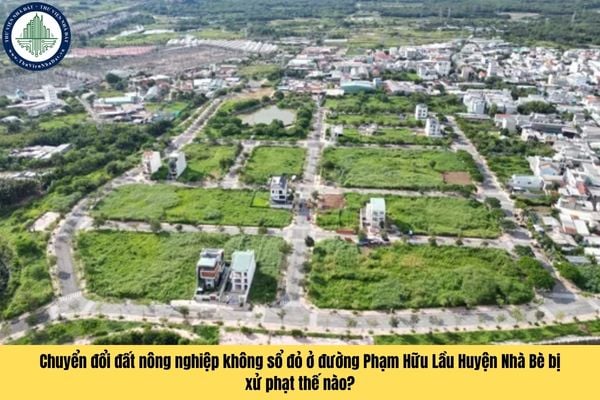 Chuyển đổi quyền sử dụng đất nông nghiệp trên đường Phạm Hữu Lầu Huyện Nhà Bè không có sổ đỏ bị xử phạt ra sao?