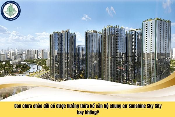 Con chưa chào đời có được hưởng thừa kế căn hộ chung cư Sunshine Sky City hay không?