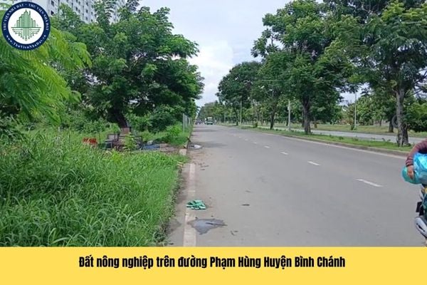 Tổ chức kinh tế muốn được nhận chuyển nhượng quyền sử dụng đất nông nghiệp trên đường Phạm Hùng Huyện Bình Chánh phải đáp ứng điều kiện nào?