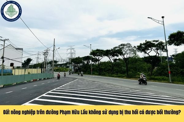 Đất nông nghiệp trên đường Phạm Hữu Lầu Huyện Nhà Bè không sử dụng bị thu hồi có được bồi thường đất hay không?