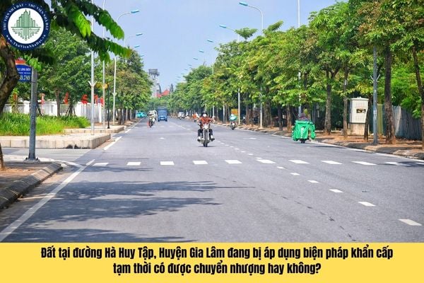 Đất tại đường Hà Huy Tập, Huyện Gia Lâm đang bị áp dụng biện pháp khẩn cấp tạm thời có được chuyển nhượng hay không?