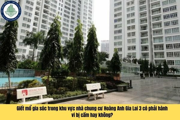 Giết mổ gia súc trong khu vực nhà chung cư Hoàng Anh Gia Lai 3 có phải hành vi bị cấm hay không?