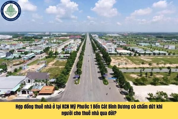 Hợp đồng thuê nhà ở tại KCN Mỹ Phước 1 Bến Cát Bình Dương có chấm dứt khi người cho thuê nhà qua đời?