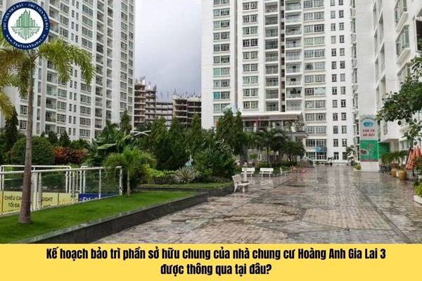 Kế hoạch bảo trì phần sở hữu chung của nhà chung cư Hoàng Anh Gia Lai 3 được thông qua tại đâu?