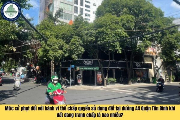 Mức xử phạt đối với hành vi thế chấp quyền sử dụng đất tại đường A4 Quận Tân Bình khi đất đang tranh chấp là bao nhiêu?