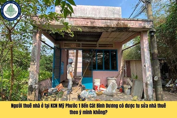 Người thuê nhà ở tại KCN Mỹ Phước 1 Bến Cát Bình Dương có được tu sửa nhà thuê theo ý mình không?