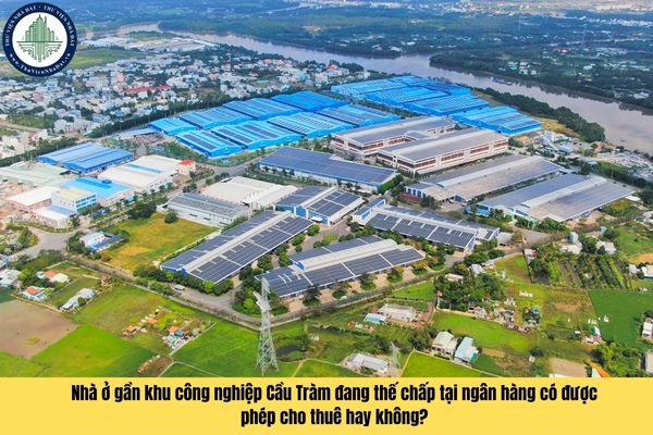 Nhà ở gần khu công nghiệp Cầu Tràm đang thế chấp tại ngân hàng có được phép cho thuê hay không?