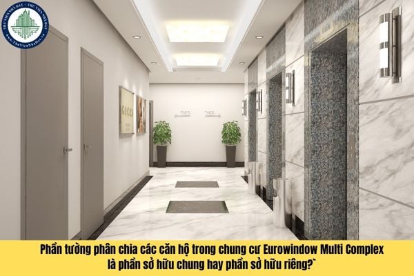 Phần tường phân chia các căn hộ trong chung cư Eurowindow Multi Complex là phần sở hữu chung hay phần sở hữu riêng?