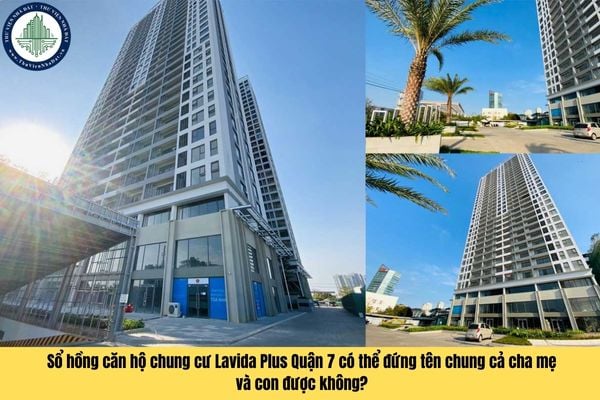 Sổ hồng căn hộ chung cư Lavida Plus Quận 7 có thể đứng tên chung cả cha mẹ và con được không?
