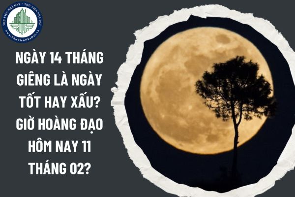 Ngày 14 tháng Giêng là ngày tốt hay xấu? Giờ hoàng đạo hôm nay 11 tháng 02?