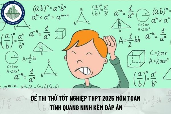 thuviennhadat.vn