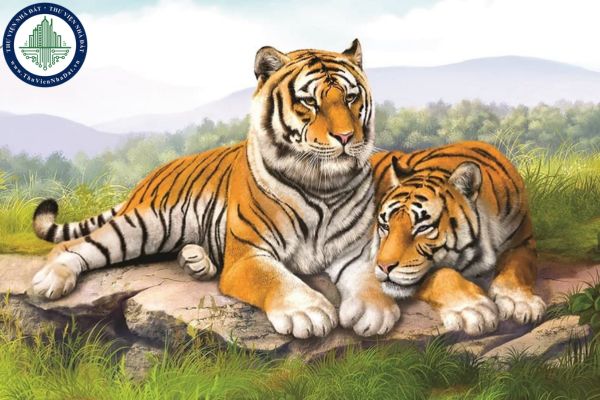 Ngày tốt làm nhà tháng 6 2025 cho tuổi Dần? Ngày xấu nên tránh làm nhà tháng 6 2025 cho tuổi Dần