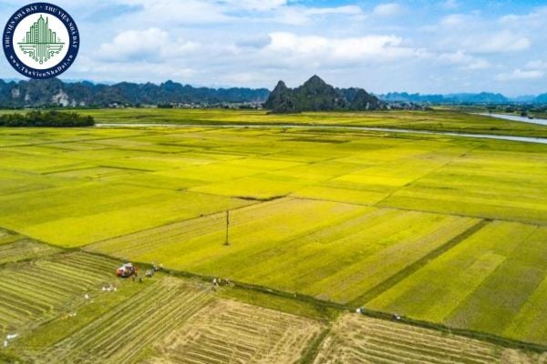 Đất ruộng là gì? Có nên mua đất ruộng để đầu tư không?