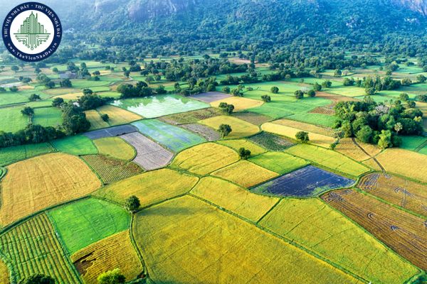 Công bố 64 thủ tục đất đai tại TPHCM từ 01/7/2025 (Quyết định 1964/QĐ-UBND)