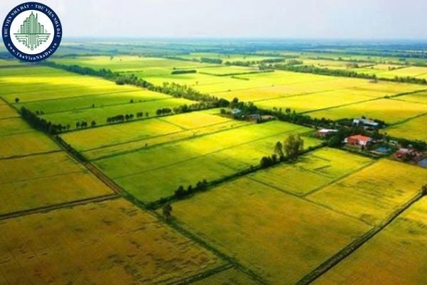 Đề xuất bãi bỏ các điều khoản Luật Đất đai 2024 từ 01/01/2026