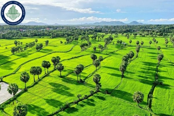 https://cdn.thuviennhadat.vn/upload/hinh-anh-bai-viet/PTTD/Thang-10-2025/2/ke-hoach-thuc-hien-chien-dich-lam-giau-co-so-du-lieu-dat-dai-tai-an-giang-ke-hoach-111-kh-ubnd.jpg