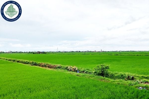 https://cdn.thuviennhadat.vn/upload/hinh-anh-bai-viet/PTTD/Thang-10-2025/27/danh-muc-thu-tuc-hanh-chinh-noi-bo-linh-vuc-dat-dai-tai-hai-phong-tu-02-10-2025.jpg