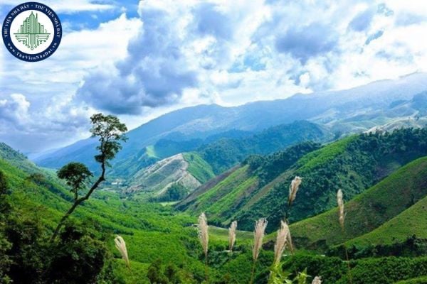 https://cdn.thuviennhadat.vn/upload/hinh-anh-bai-viet/PTTD/Thang-9-2025/05/chi-nhanh-van-phong-dang-ky-dat-dai-khu-vuc-a-luoi-thanh-pho-hue-sau-sap-nhap-quan-ly-nhung-xa-nao.jpg