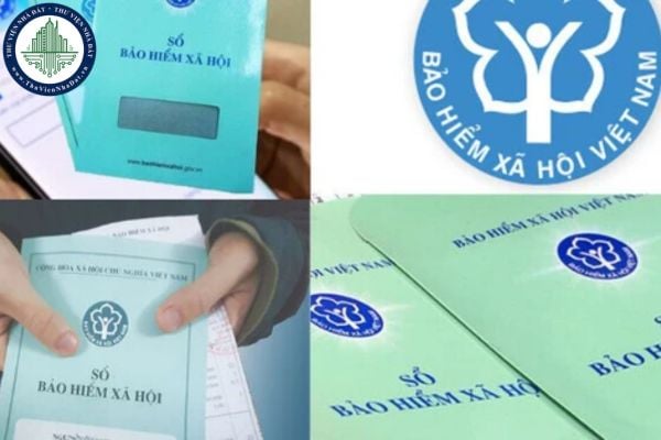 thuviennhadat.vn