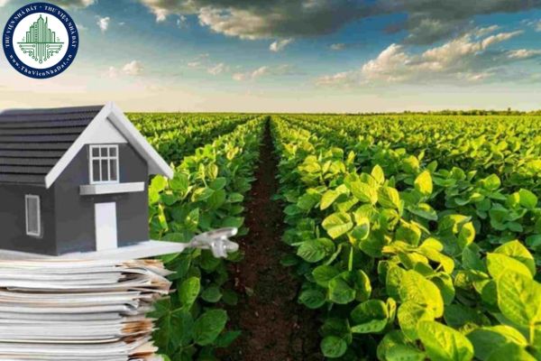 Tải mẫu đơn xin lên thổ cư mới nhất 2025