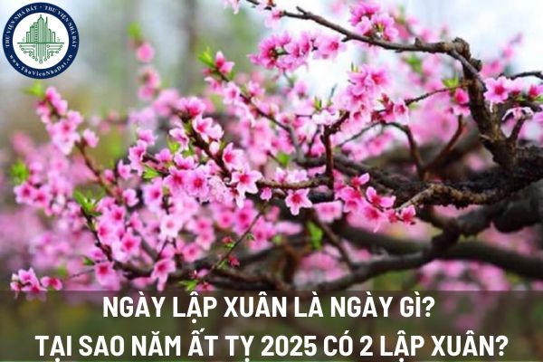 Ngày lập xuân là ngày gì? Tại sao năm Ất tỵ 2025 có 2 lập xuân?