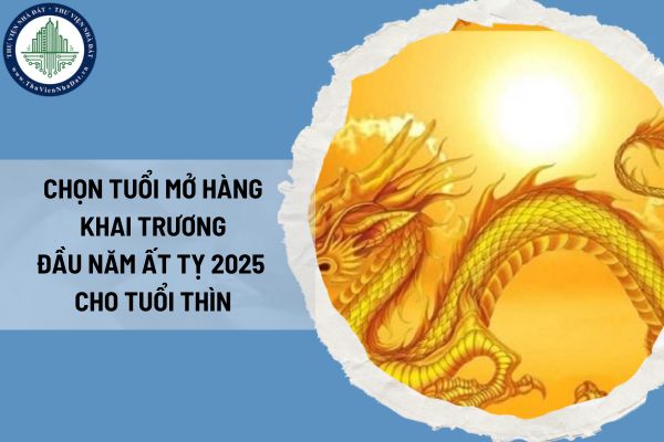 1. Tổng Quan về Tuổi Mậu Thìn 1988