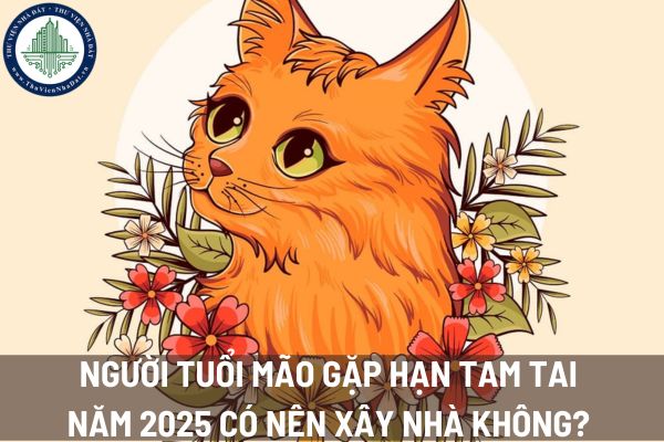 Người tuổi Mão gặp hạn tam tai năm 2025 có nên xây nhà không? 