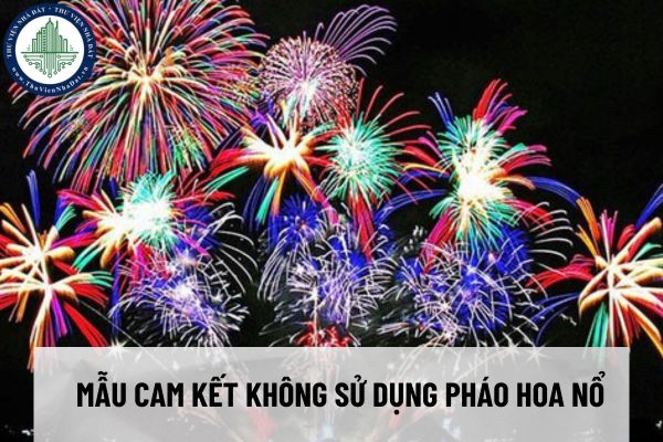 Mẫu cam kết không sử dụng pháo nổ cho học sinh dịp Tết Nguyên đán 2025?