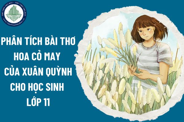 Phân tích bài thơ Hoa cỏ may của Xuân Quỳnh cho học sinh lớp 11