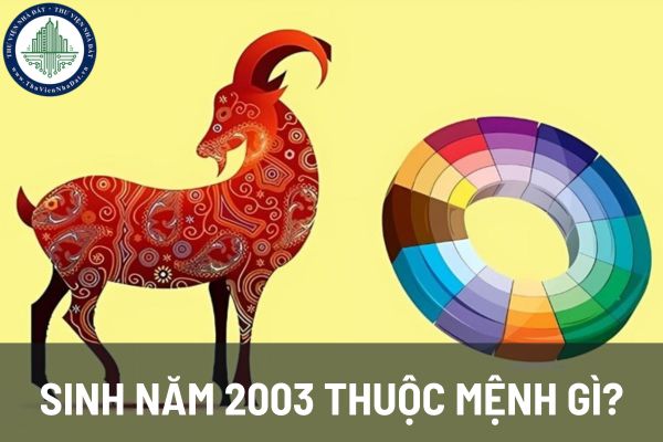 Sinh năm 2003 thuộc mệnh gì? Cách cải thiện vận mệnh bằng phong thủy