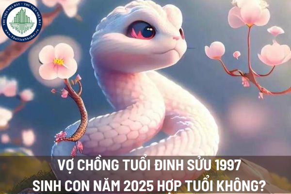 Vợ chồng tuổi Đinh Sửu 1997 sinh con năm 2025 có tốt không? Thủ tục đăng ký khai sinh được quy định như thế nào?