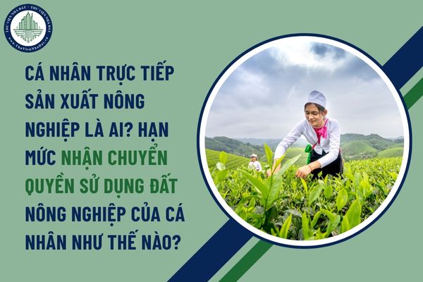 Cá nhân trực tiếp sản xuất nông nghiệp là ai? hạn mức nhận chuyển quyền sử dụng đất nông nghiệp của cá nhân như thế nào?