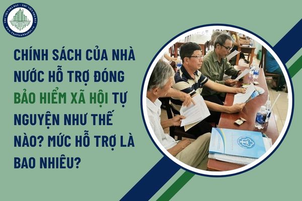 Chính sách của nhà nước hỗ trợ đóng bảo hiểm xã hội tự nguyện như thế nào? mức hỗ trợ là bao nhiêu?
