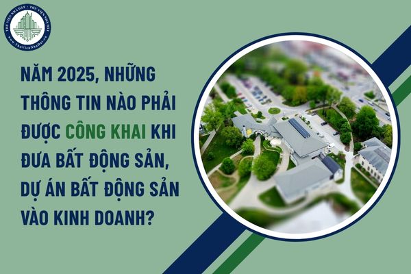 Năm 2025, những thông tin nào phải được công khai khi đưa bất động sản, dự án bất động sản vào kinh doanh?