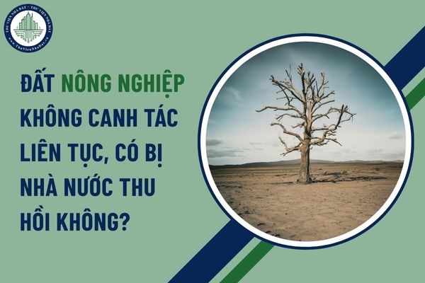 Đất nông nghiệp không canh tác liên tục, có bị Nhà nước thu hồi không?
