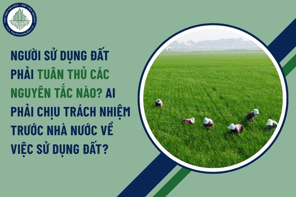 Người sử dụng đất phải tuân thủ các nguyên tắc nào? Ai phải chịu trách nhiệm trước Nhà nước về việc sử dụng đất?